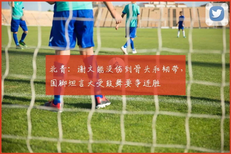 北青：谢文能没伤到骨头和韧带，国脚坦言大受鼓舞要争连胜