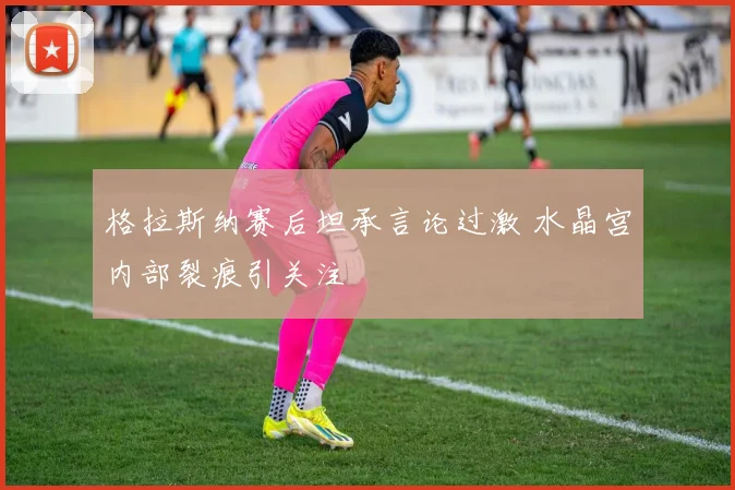 格拉斯纳赛后坦承言论过激 水晶宫内部裂痕引关注