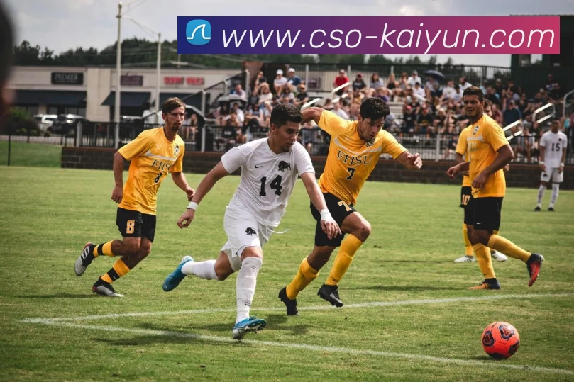 开云平台生态图